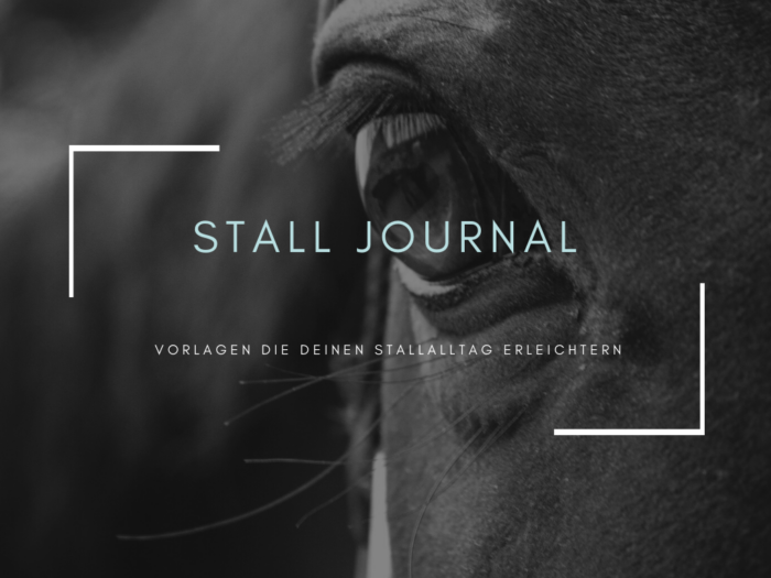 Stall Journal