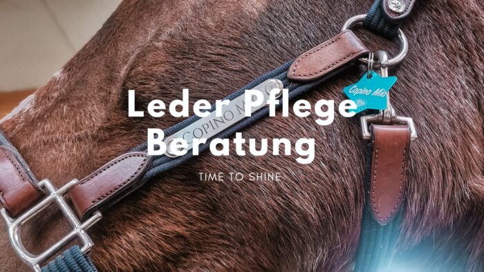 Leder Pflege Analyse und Beratung