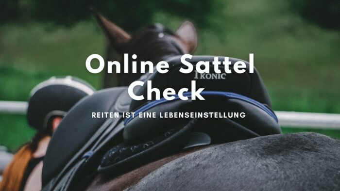 Online Sattel Check