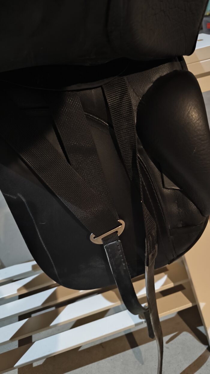 Passier ABS Dressursattel – Bild 4