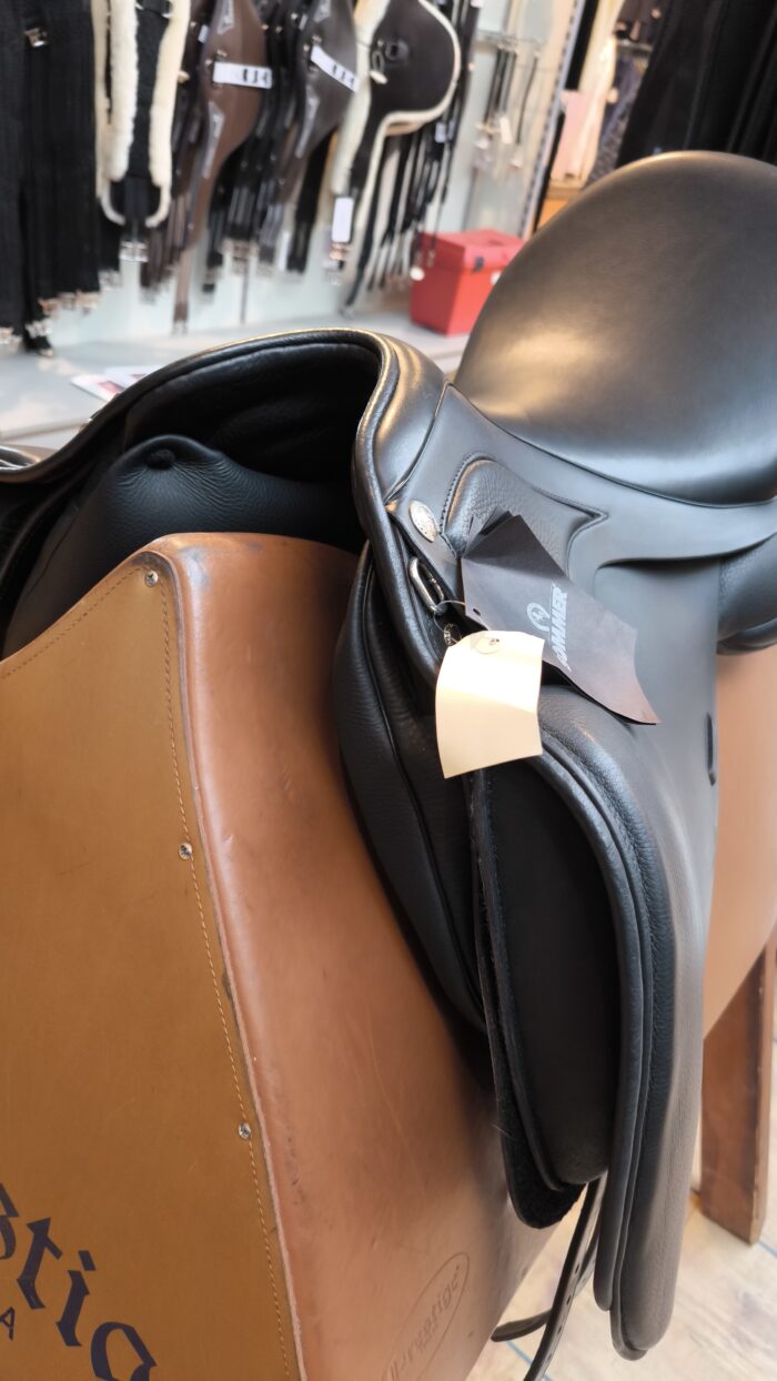 Sommer Diplomat Lavita2 Dressursattel – Bild 10